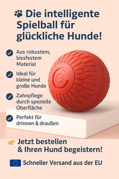 🐾 PawBy Vibrationsball – Mehr Spaß. Mehr Bewegung. Mehr Entspannung.