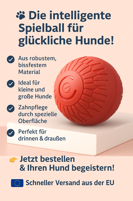 🐾 PawBy Vibrationsball – Mehr Spaß. Mehr Bewegung. Mehr Entspannung.