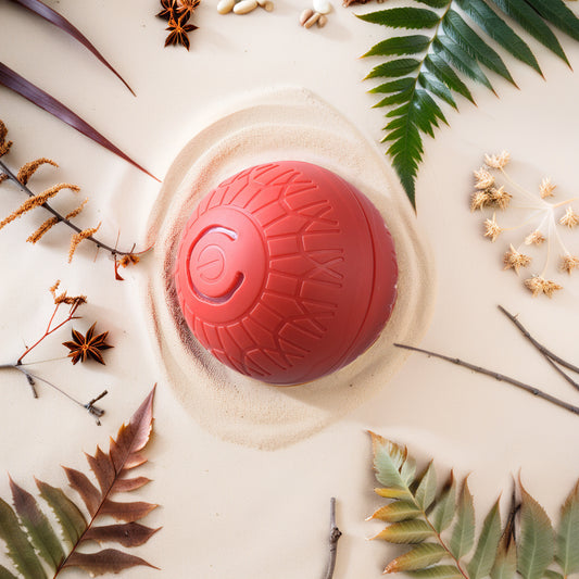 🐾 PawBy Vibrationsball – Mehr Spaß. Mehr Bewegung. Mehr Entspannung.